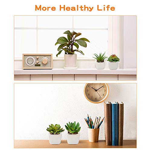 Plantas Suculentas Artificiales 4 Piezas, Plantas Falsas Pequeñas Mini Plantas Suculentas en Macetas, Planta Decorativa de Fuax para el Hogar Casa Mesa Balcón Oficina Interior Decoración Accesorios