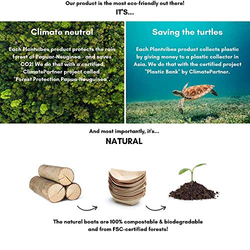 Plantvibes Platos de Madera en Forma de Barco, 100% compostable & CO2-neutral - 100 Botes ecológicos tamaño L - Vajillas Desechables, Bandejitas Desechables para Aperitivos y Tapas