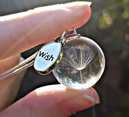 Plata esterlina 925 Collar del diente de león - Petalo de flor Semilla de diente de león Colgante de cristal vaso Deseo amuleto CAJA DE REGALO Joyas del día de las madres