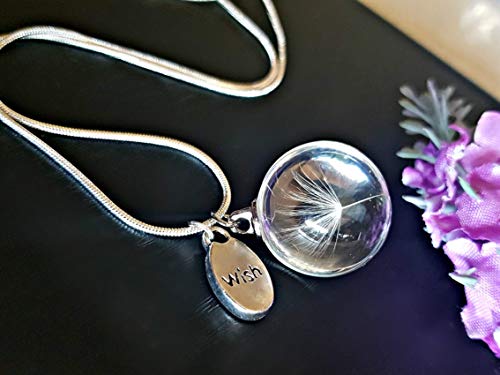 Plata esterlina 925 Collar del diente de león - Petalo de flor Semilla de diente de león Colgante de cristal vaso Deseo amuleto CAJA DE REGALO Joyas del día de las madres