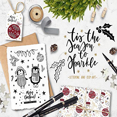 Plumas de caligrafía, Pincel Rotulador Vakki 6PCS Rotuladores de mano recargables para escribir, rotular, firma (4 tamaños)