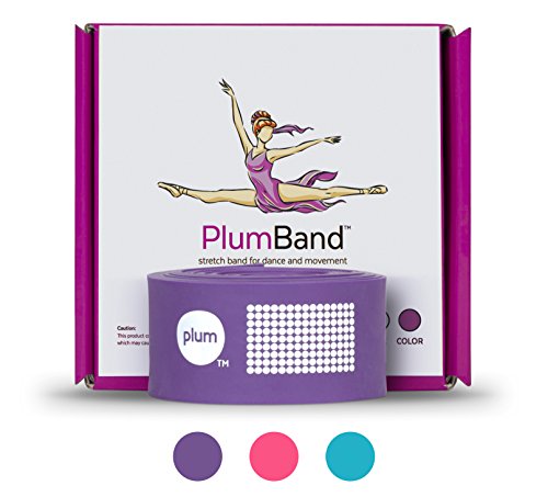 PlumBand - Banda elástica de Ballet para Danza y Gimnasia - Disponible en Varias Tallas - Manual de Instrucciones Impreso y Bolsa de Viaje incluidos (versión en Inglesa) (Morado, Regular)