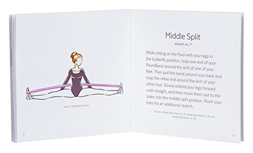 PlumBand - Banda elástica de Ballet para Danza y Gimnasia - Disponible en Varias Tallas - Manual de Instrucciones Impreso y Bolsa de Viaje incluidos (versión en Inglesa) (Morado, Regular)