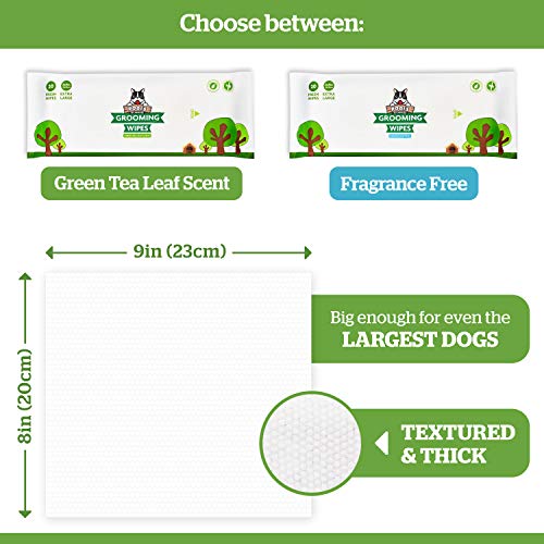 Pogi's Grooming Wipes - Toallitas húmedas - 100 toallitas desodorantes para Perros - Aroma de té Verde, Naturales, Extra Grandes, biodegradables