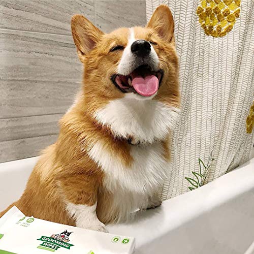 Pogi's Grooming Wipes - Toallitas húmedas - 100 toallitas desodorantes para Perros - Aroma de té Verde, Naturales, Extra Grandes, biodegradables