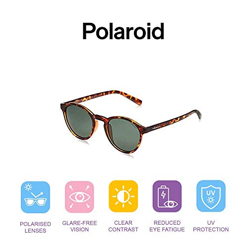 Polaroid PLD 1013/S H8 V08 50 Gafas de sol, Marrón (Havana/Green Pz), Hombre