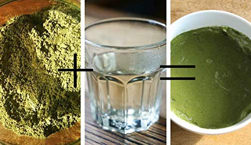 Polvo ayurvédico de Sidr (azufaifo) Cosm'Ethics 100% Natural limpia el cuero cabelludo y restaura el volumen y el brillo 100 g.