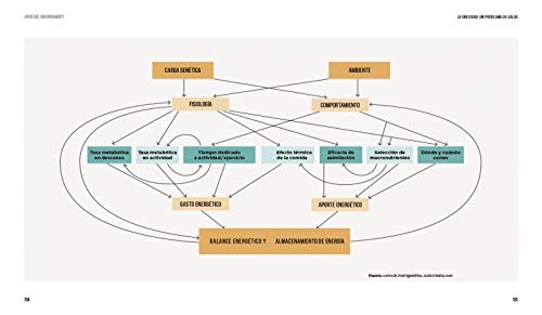 ¿Por qué engordamos?: El mejor método para eliminar la grasa (Vivir mejor)
