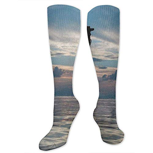 PPPPPRussell Novelty Socks Coppia baciarsi su un'altalena in acqua Novità Calze per donna, ragazza, ragazzo, calze divertenti per calze da corsa, sport, viaggi, tutti i giorni [8,5X50 Cm]