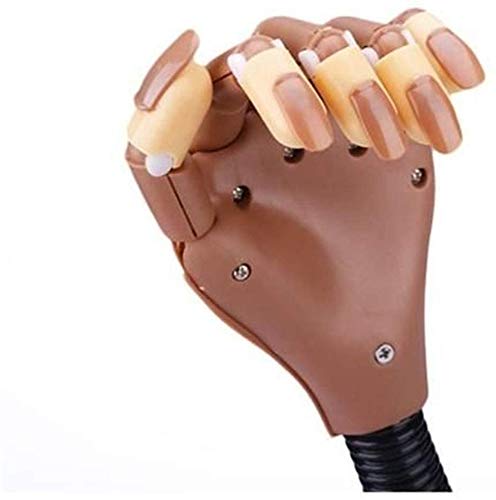 Práctico brazo de maniquí con uñas postizas para una practicar y para formación, flexible tanto el brazo y los dedos + 100 uñas postizas (Plástico)
