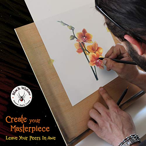 * PRIME DAY DEALS * Black Widow ® Lápices de colores para adultos, el mejor juego de lápices de colores para adultos Libros para colorear, Un kit de dibujo Blackwood de 24 piezas