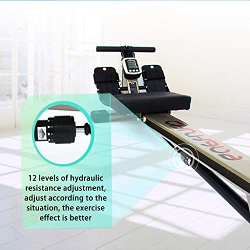 Priority Culture Máquina de Remo Maquina De Remo Profesional, Dispositivo De Remo Silencioso Multifuncional, Equipo De Entrenamiento De Postura Sentado Ajustable, Teniendo 150 Kg