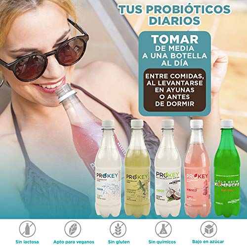 Prokey Kefir De Agua Probiótico Bio, Cold Brew Kombucha caja de 16 botellas de 500 ml