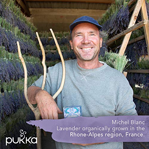 Pukka Organic Night Time té, 20 bolsitas - 1 unidad