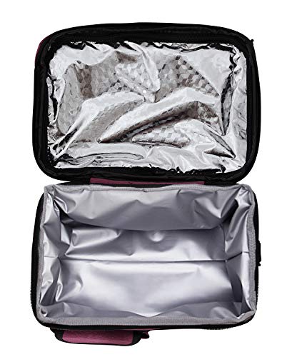 PuTwo Térmica Porta Alimentos 8L Hermética Bolsa Térmica Plegable Bolso Nevera Térmica Tela Bolsas Térmicas para Llevar Comida Nevera Almuerzo para Adulto Niños Trabajo Oficina Playa Viaje -Morado