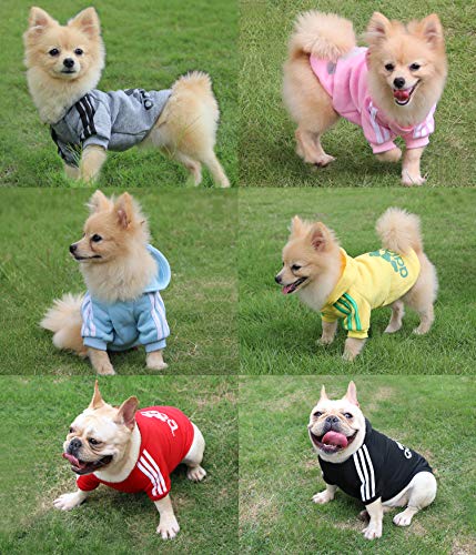 QiCheng&LYS Adidog Dog Hoodie Ropa, Mascota Cachorro Gato algodón Lindo cálido Sudadera con Capucha suéter (XS, Rosa)