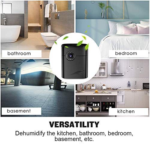 QUARED Portátil Deshumidificador 1200ML, 2 en 1 Deshumidificador Purificador de Aire Ultra Silencioso, Auto-Apagado, Timer, Hogar, Armarios, Oficina, Baño, Cocina, contra Humedad y Moho