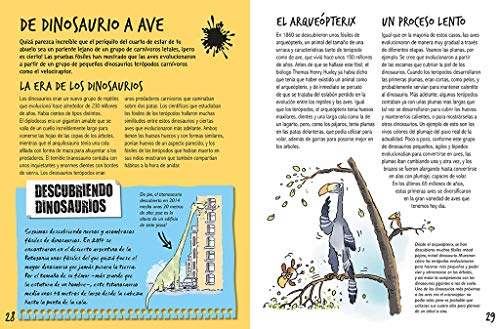 ¿Qué es la evolución?: Cómo han cambiado los animales y las plantas a lo largo de miles de millones de años (Descubre el mundo y la Historia)