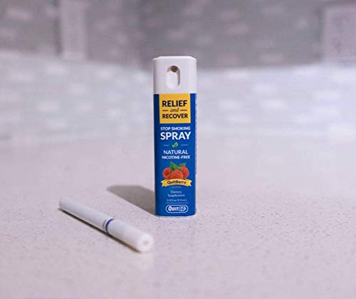 QuitGo Kit de doble apoyo para dejar de fumar con inhalador de punta suave sin humo, alivio de hierbas y spray de recuperación para ayudar a detener el tabaquismo (menta fresca, doble soporte)