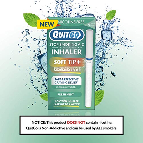 QuitGo Kit de doble apoyo para dejar de fumar con inhalador de punta suave sin humo, alivio de hierbas y spray de recuperación para ayudar a detener el tabaquismo (menta fresca, doble soporte)