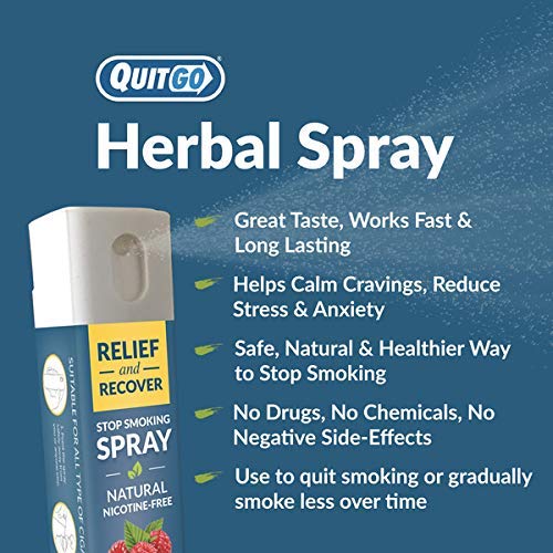 QuitGo Kit de doble apoyo para dejar de fumar con inhalador de punta suave sin humo, alivio de hierbas y spray de recuperación para ayudar a detener el tabaquismo (menta fresca, doble soporte)