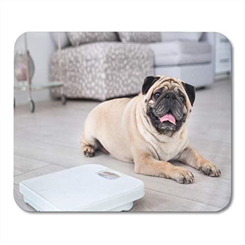 Rae Esthe Almohadillas para Mouse Beige Pet Cute Pug con sobrepeso en el Piso balanza Alfombrilla de ratón para portátiles, Alfombrillas de Escritorio Suministros de Oficina