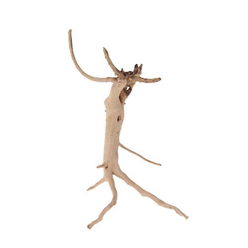 Ramas de madera arrastrada por las corrientes natural. Para reptiles y decoración de peceras. Varios tamaños (pequeño). 4 piezas. De Emours