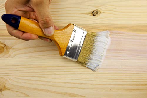 Rayt 157-23 Blumeplast M-20: Látex plástico denso, sellador de Superficies de Yeso, Cemento, estuco, Madera, y sellante para Manualidades. Secado Transparente. 5 kg, 5kg