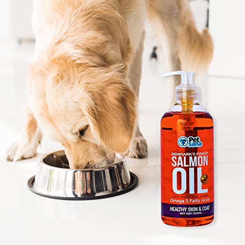 Rc Ocio Aceite de Salmon para Perros y Gatos 500 ml Omega 3 y 6 Perro y Gato | vitaminas Perro EPA/DHA | Alergias cutáneas | Mejora el Pelo | Articulaciones | Sistema inmunológico