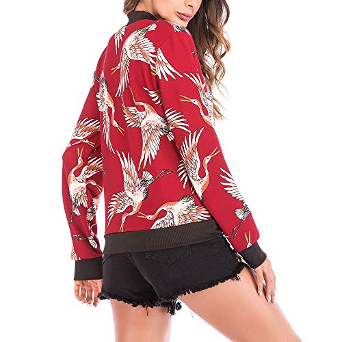 Reooly con Capucha jerséis Cazadora Biker Abrigo Trenca niña niños Chaqueta 3 Punto Grueso Mujer Chaquetas de Cine Cardigan Gris Abrigo Bebe niña Meses Chaqueta Vaquera Perlas Trenca Hombre