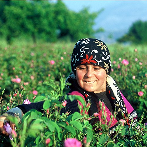 Rosense Botella de vidrio agua de rosa agua hidratante facial tonificador/roseta agua Face Mist 6.8 oz