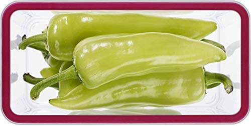 Rotho Loft, caja de almacenamiento rectangular de 2.1 l con tapa y sello, Plástico PP sin BPA, transparente, rojo, 2.1l 20.0 x 10.0 x 14.2 cm