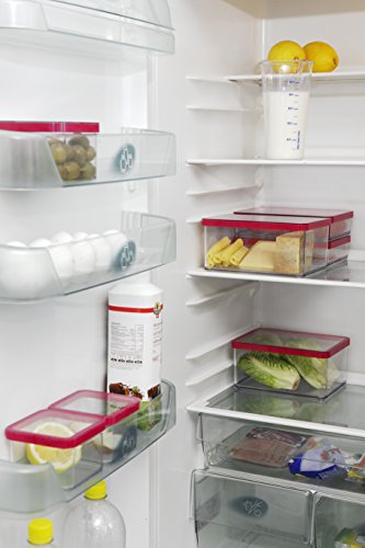 Rotho Loft, caja de almacenamiento rectangular de 2.1 l con tapa y sello, Plástico PP sin BPA, transparente, rojo, 2.1l 20.0 x 10.0 x 14.2 cm