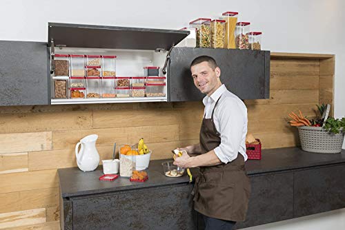 Rotho Loft, caja de almacenamiento rectangular de 2.1 l con tapa y sello, Plástico PP sin BPA, transparente, rojo, 2.1l 20.0 x 10.0 x 14.2 cm