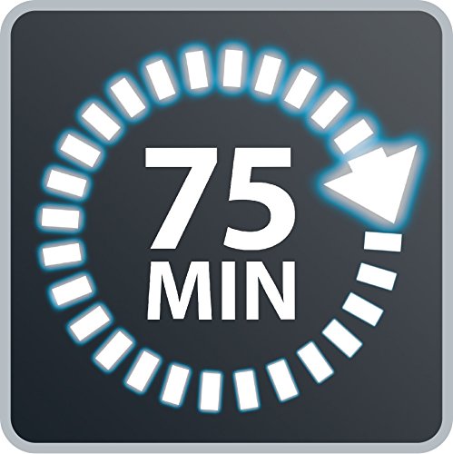 Rowenta RH8897W0 Air Force Extreme Power Pro - Aspirador sin bolsa ciclónico, 32.4 V, autonomía 75 min, batería de litio y cepillo motorizado, sin cable, 3 potencias ajustables, Blanco Nieve