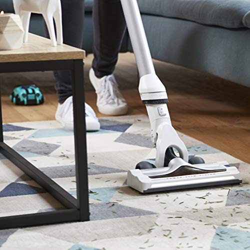 Rowenta RH9252WO Air Force 460 - Aspirador Escoba sin Cable, Batería Larga Duración Ion-litio 21,9 V, 30 min de Autonomía, Pack 8 Boquillas y Pack Accesorios Especiales Versátiles