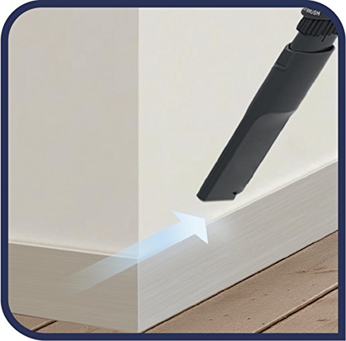 Rowenta Silence Force RO6491EA Aspirador con Bolsa, 550 W, 66 dB, Cepillo para pelo de mascota, para parquet, para tapicerías, Boquilla para Ranuras, 4.5 litros de depósito