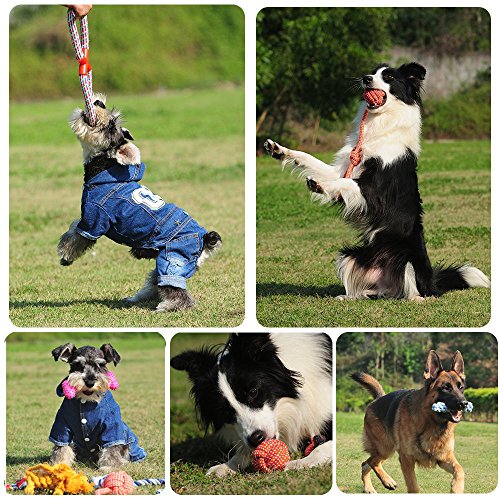 RoyalCare Juguetes para Perros Juego de Regalo de 12 Paquetes, Cuerda de Bola Masticar Juguetes chillones para Perro de Mediano a pequeño