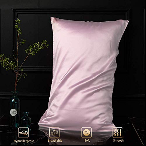 Ruike - Funda de almohada de seda natural, hipoalergénica, 22 momme, 100% seda, 600 hilos, tamaño estándar 50 x 75 cm, con cremallera oculta