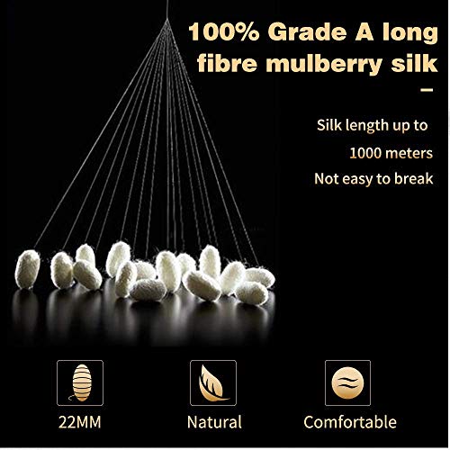 Ruike - Funda de almohada de seda natural, hipoalergénica, 22 momme, 100% seda, 600 hilos, tamaño estándar 50 x 75 cm, con cremallera oculta