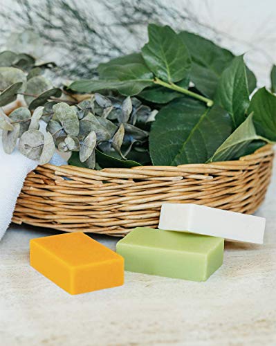 Sabai Thai hierbas aromáticas aloe vera, zanahorias y leche de arroz, jabón casero, gel de lavado multiusos natural para cara, manos y cuerpo, productos básicos para el cuidado