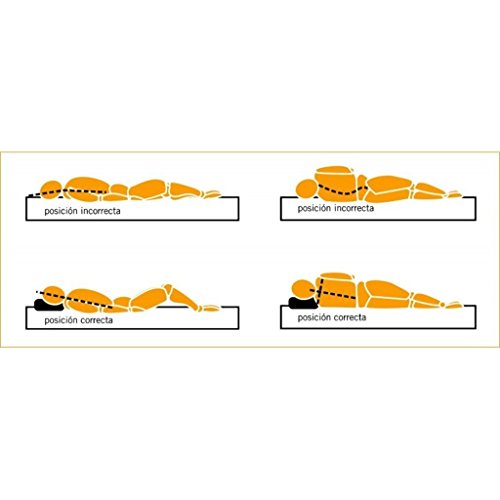 SABANALIA - Almohada Cervical Viscoelastica Aloe Vera (Disponible en Varias Medidas) - 50x33x11