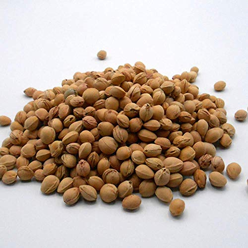 Saco térmico “MANDALAS AZUL MARINO” – 50 X 20 cm (XL) – relleno con 800gr de huesos de cereza - para microondas y congelador