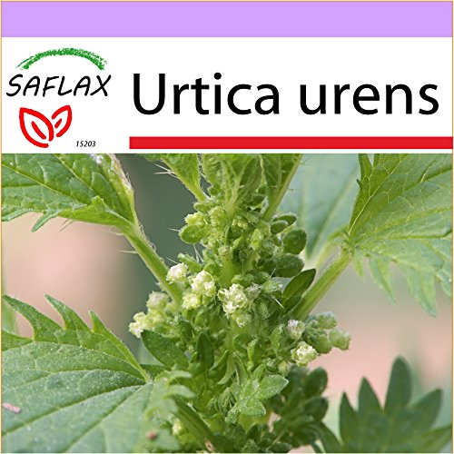 SAFLAX - Ortiga menor - 150 semillas - Urtica urens