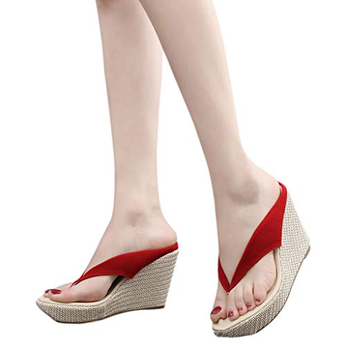 Sandalias para Mujer Verano 2019 Plataforma Cuña Fiesta PAOLIAN Chanclas Vestir Casual Zapatos Tacon Altas Dama Zuecos Elegantes Flip-Flops Grandes 34-42 EU