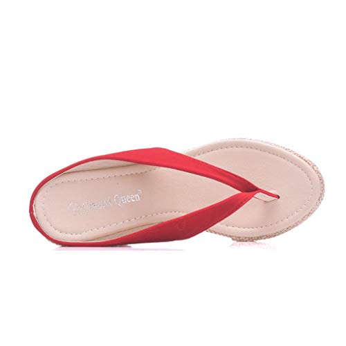 Sandalias para Mujer Verano 2019 Plataforma Cuña Fiesta PAOLIAN Chanclas Vestir Casual Zapatos Tacon Altas Dama Zuecos Elegantes Flip-Flops Grandes 34-42 EU