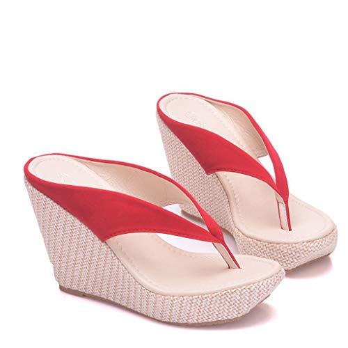 Sandalias para Mujer Verano 2019 Plataforma Cuña Fiesta PAOLIAN Chanclas Vestir Casual Zapatos Tacon Altas Dama Zuecos Elegantes Flip-Flops Grandes 34-42 EU