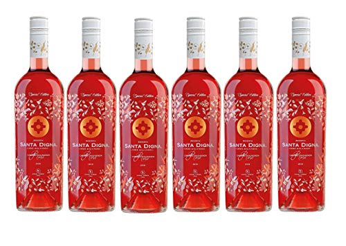 Santa Digna Rosé, Vino Rosado - 6 botellas de 75 cl, Total: 4500 ml