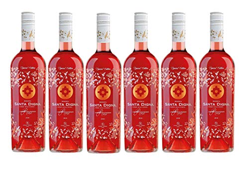 Santa Digna Rosé, Vino Rosado - 6 botellas de 75 cl, Total: 4500 ml