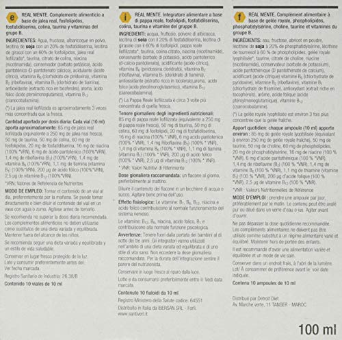 Santiveri Realmente Cerebro Activo 10 V 100 ml - 100 g